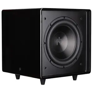 Aperion Audio Bravus II 10D 500W Class D 10" Powered Subwoofer