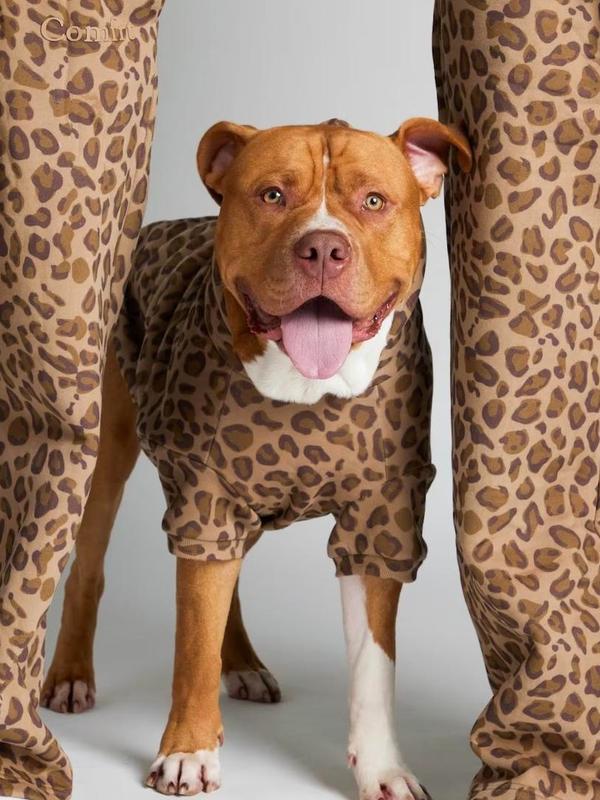 Comfrt Paws | Minimalist Hoodie Comfrt Paws | Minimalist Hoodie