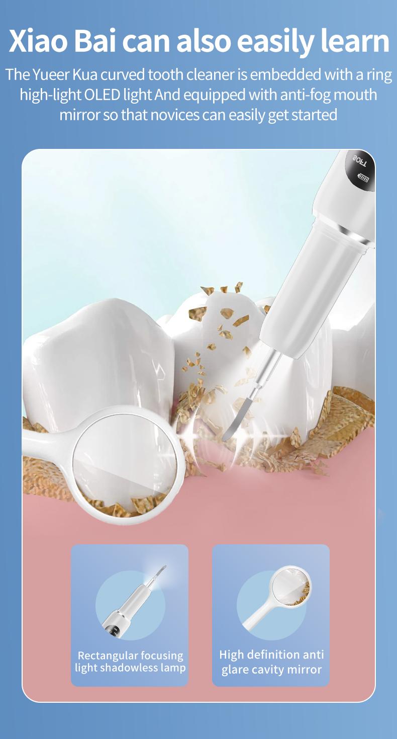 Tartar removers, rechargeable home dental cleaners, plaque removers (including replacement brush heads and manual cleaning tools), dental cleaning kits suitable for adults and pets Tartar removers, rechargeable home dental cleaners, plaque removers (including replacement brush heads and manual cleaning tools), dental cleaning kits suitable for adults and pets