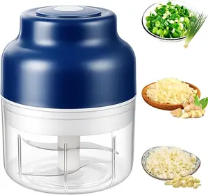 2026 New Mini Electric Garlic Chopper, 250ml USB Rechargeable Portable Food Chopper, Multifunctional Veggie Fruit Onion Ginger Chilli Mincer for Kitchen Outdoor(blue)