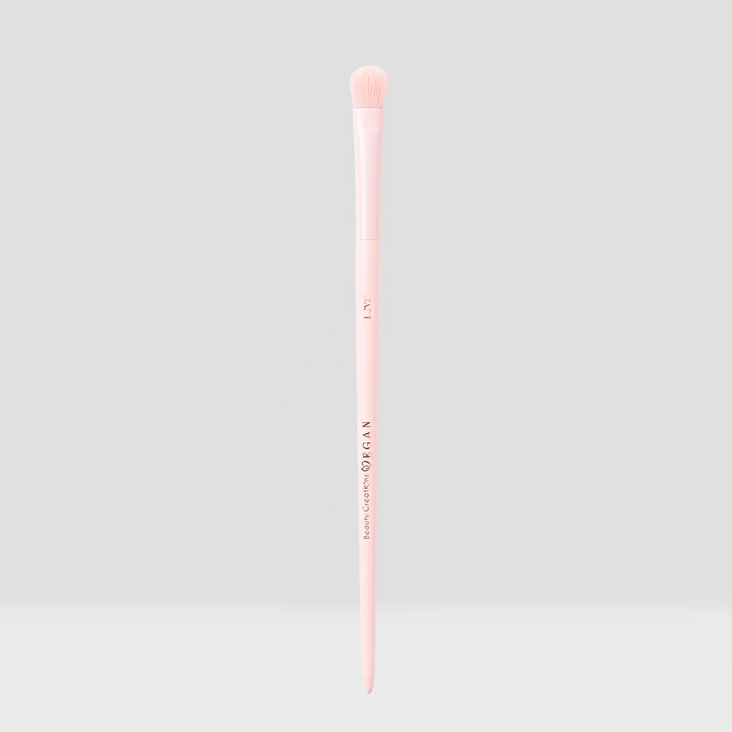 LARGE PACKING SHADOW BRUSH (12PCS)