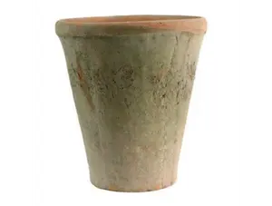 Antique Terracotta Pot   