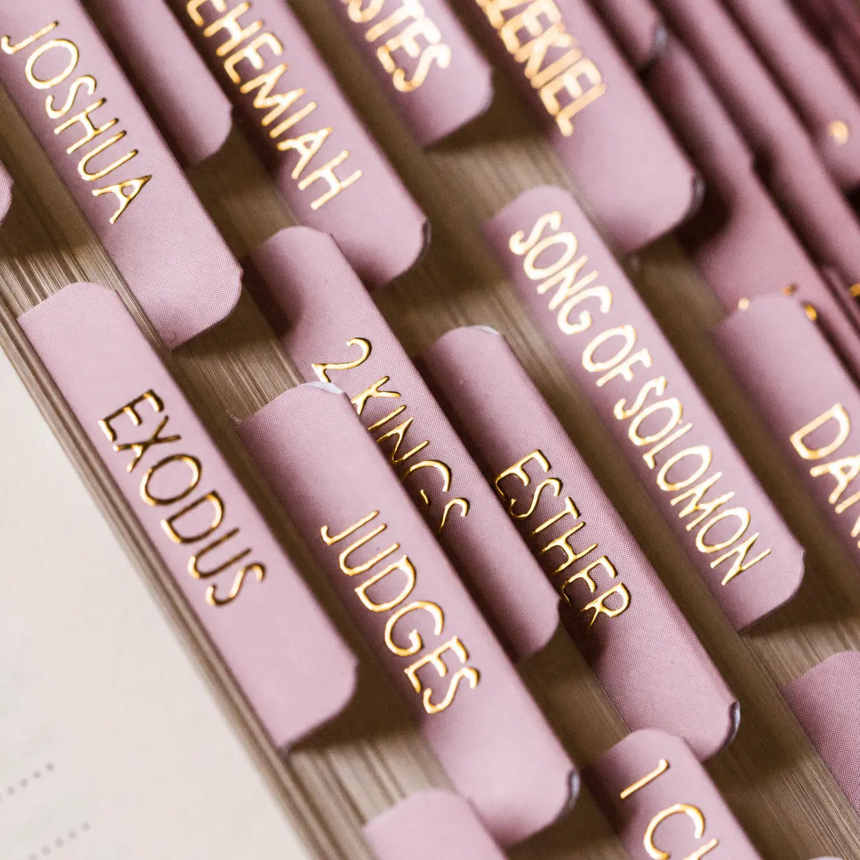 Bible Tabs for Women Study Bible, Gold Embossed Matte Catholic Bible Tabs Pink, Bible Book Index Tab Bible Book Tabs w/Old & New Testament Pink Bible Tabs Perfect Laminated Bible Study Supplies Peony