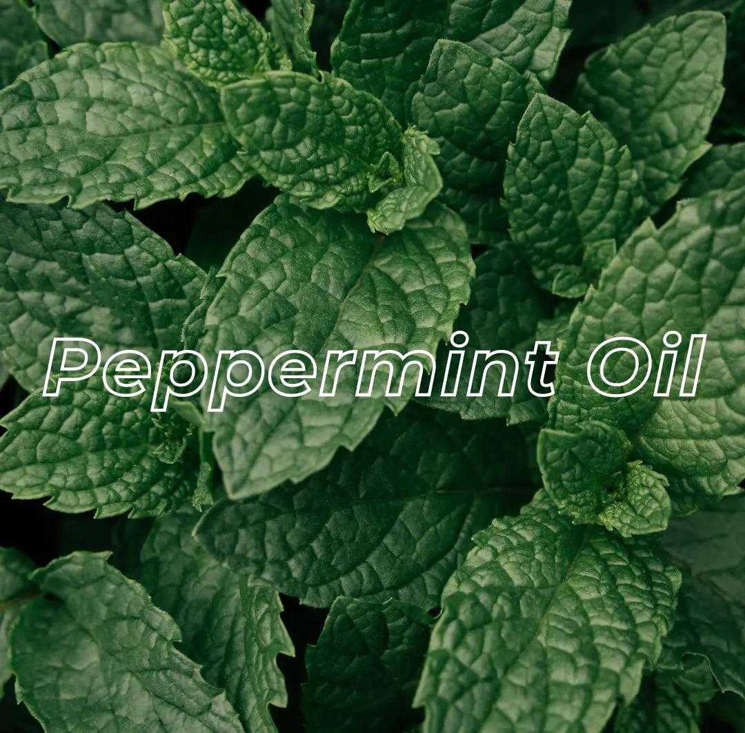 Exfoliating Scalp Scrub