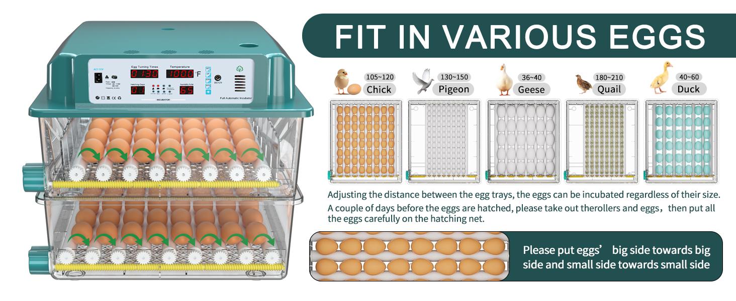 Chalixion 120 Large Capacity Incubator, Auto Rotation, Digital Temp & Humidity Control, Water Injection, Adjustable System