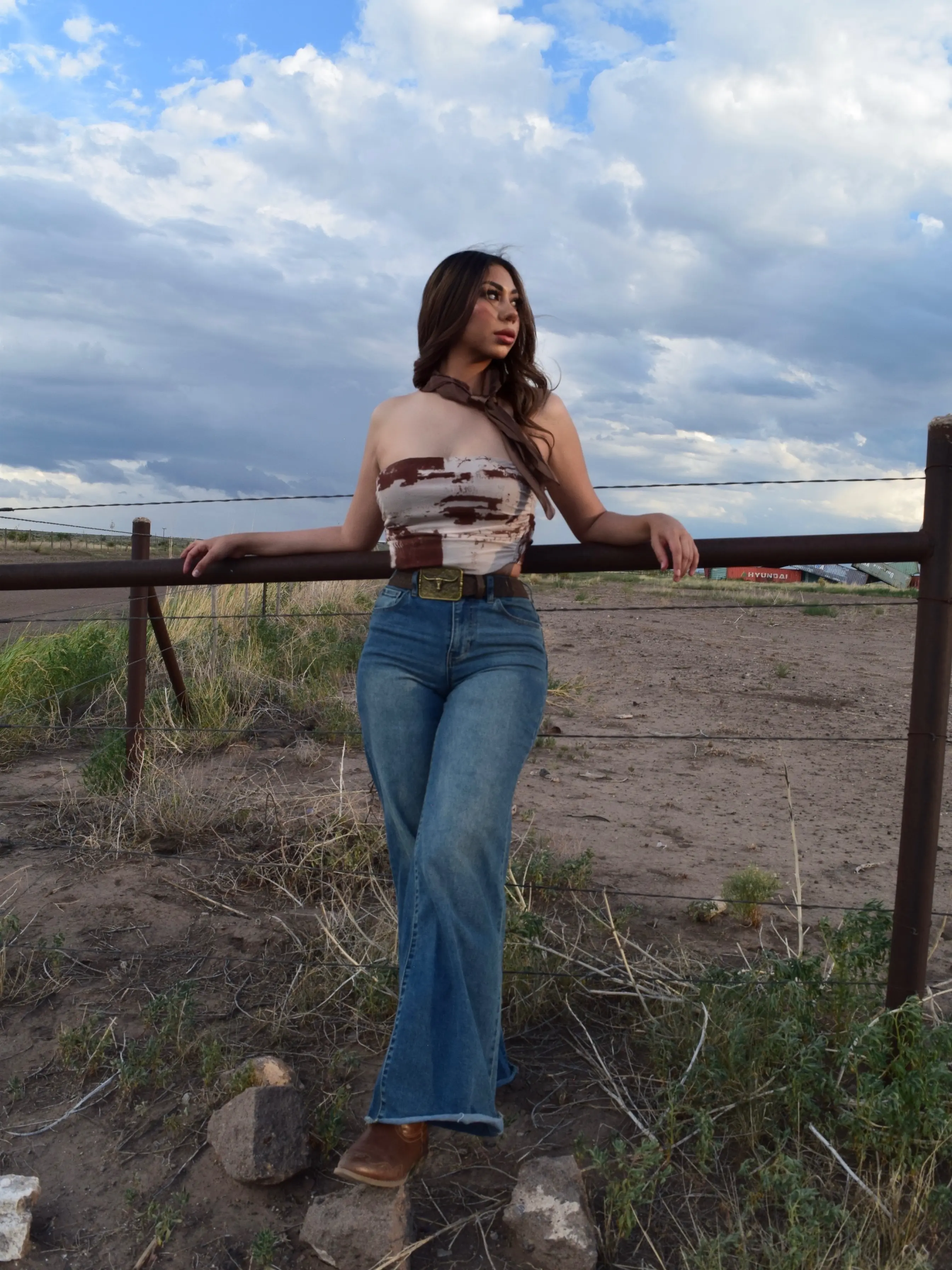 Terlingua Top