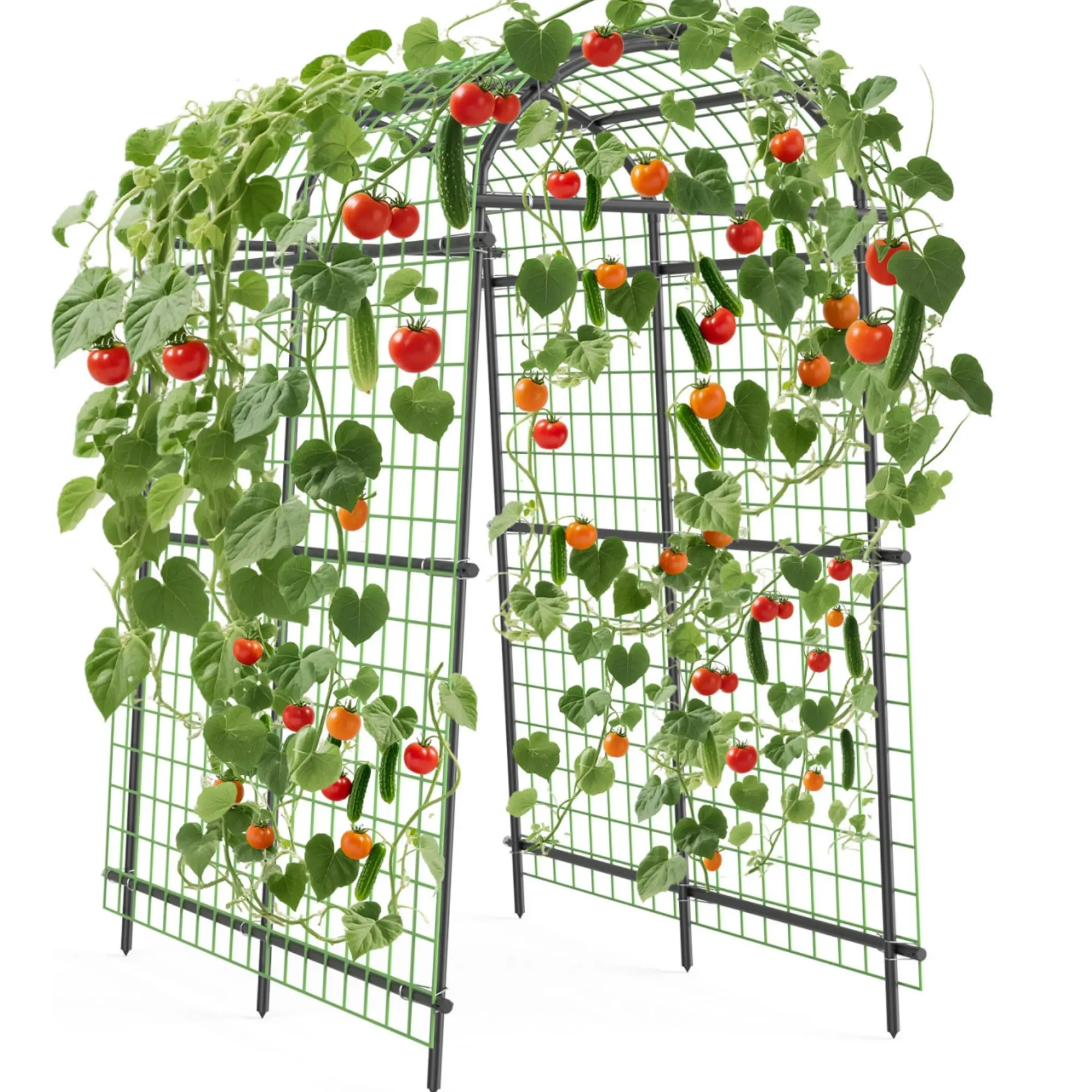Gaomon 7.5FT Extra-Tall Metal Garden Arch Trellis, Polyethylene-Coated Steel Arbor, Garden Trellises for Climbing Plants, Backyard Decor, Metal Garden Trellis