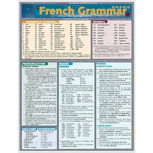 French Grammar: a Laminated Reference Guide