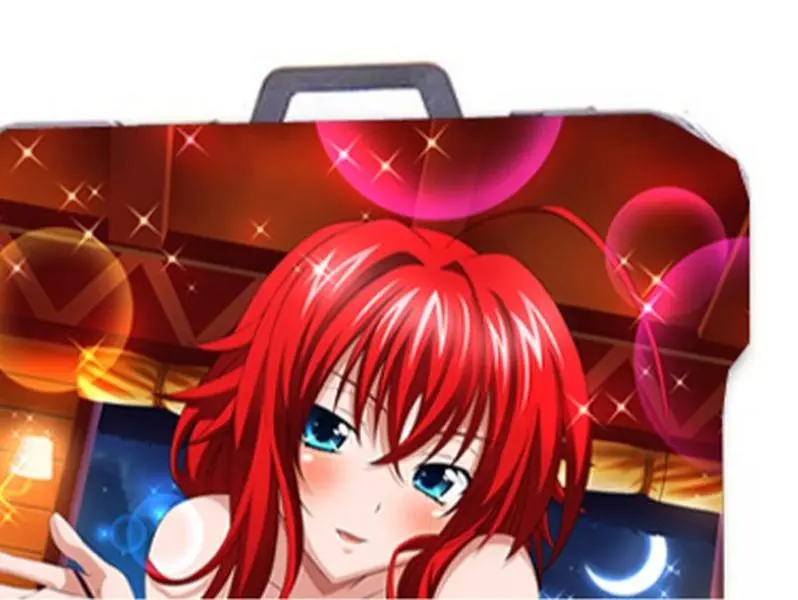 High School DxD Anime Slim Wallet Cash & Cardholder Officially Licensed Brand New