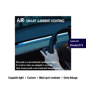 Tesla Smart Ambient Lighting System