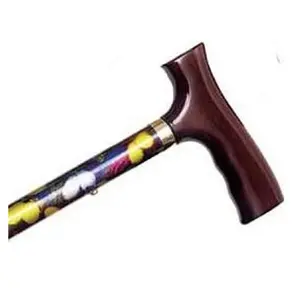 212 MAIN Alex Orthopedic Adjustable Folding Small Animal Cane - Pet Healthcare Tool & Equipment with Travel Support, Replaceable Tip, Decorative Design