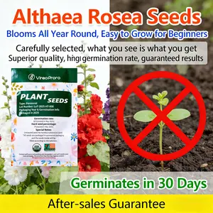 Colorful Hollyhock Seeds | DIY Garden Project | Home Flower Garden”