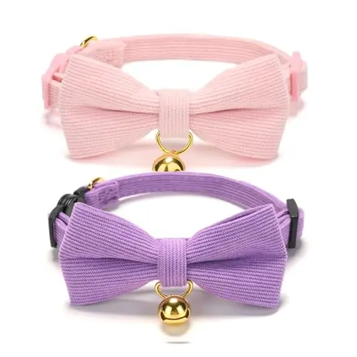 Corduroy Pink Purple