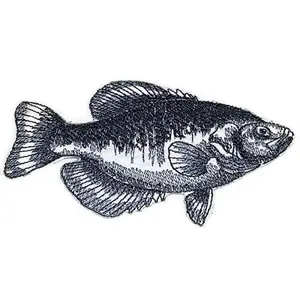 Nature's Bounty Beautiful Custom Fish Sketch [Black Crappie Fish ] Embroidered Iron On/Sew patch (5" x 3") Made in USA]