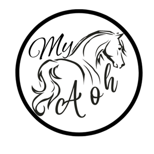 MyAllOutHorses
