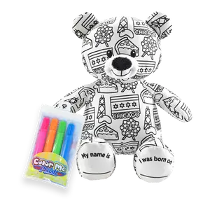 8.5" Chicago Color Me Plush™ Teddy