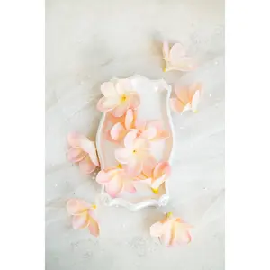 10 PCS Real Touch Light Pink Plumeria - DIY Flower Ornament Home Decor, Bathtub, Centerpiece, Headband, Aisle Decor,Wedding,Handmade Hairpin