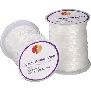 1 mm Sturdy Stretchy Bracelet String, 2 Rolls of  Clear Elastic Bead Cord for Bracelets, Necklaces, and  Making (656 )