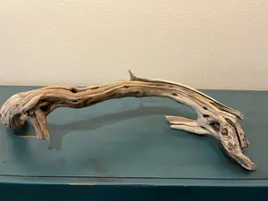 23" Driftwood Manzanita Branch  #2004 Decor Ornaments