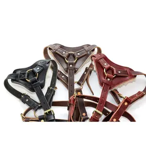 Bridgeport Padded Leather Tracking Harness