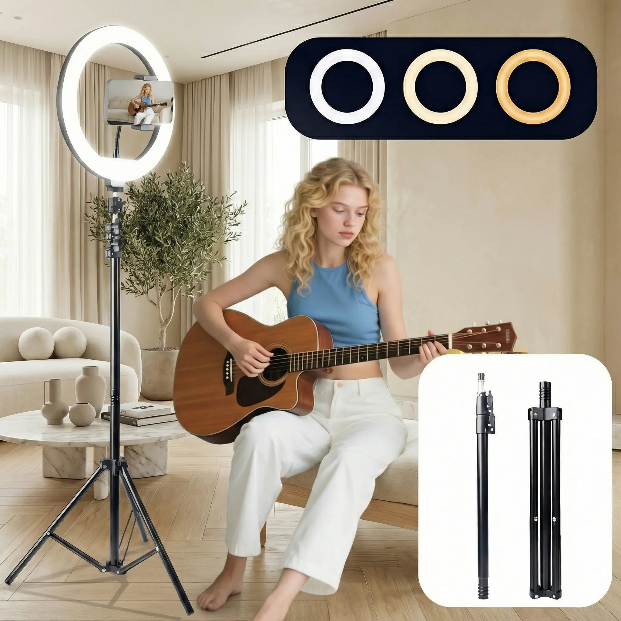 10 inch LED Ring Light with 63