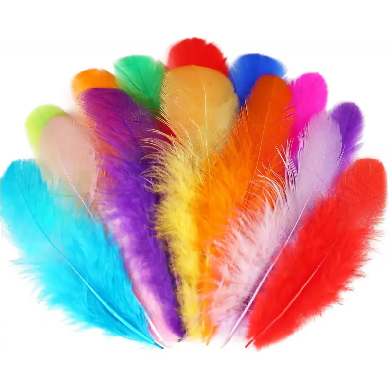 300 Pcs Colorful Craft Rooster Feathers, 3-5in Bulk Supply - Decoration for DIY Crafts, Wedding Festive & Home Decor, Dream Catcher Making, 300 Pcs Colorful Feathers