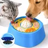 Picky Zoom Interactive Slow Feeder Dog Bowl - 2-in-1 Enrichment Feeder with Rolling Lick Ball for Fast Eaters, Anti-Slip Suction Base for Frozen Treats, Yogurt & Wet Food, for Dogs & Cats