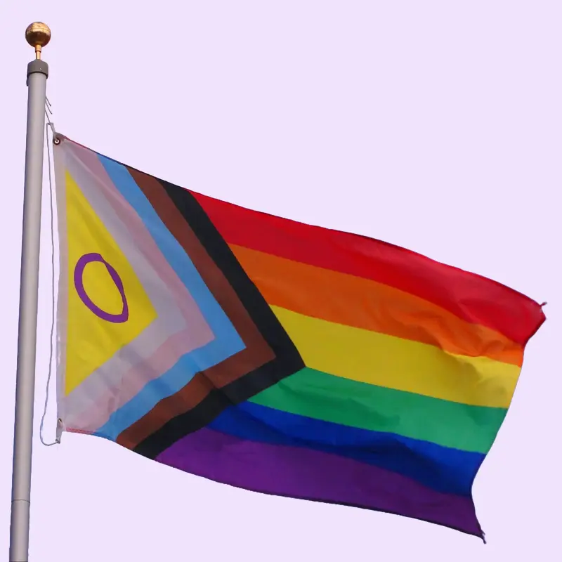 Pride Flags | 3x5 ft