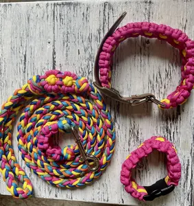Sweet Sunshine Paw and Me Set - Colorful Paracord Dog Leash Collar & Bracelet for Everyday Use