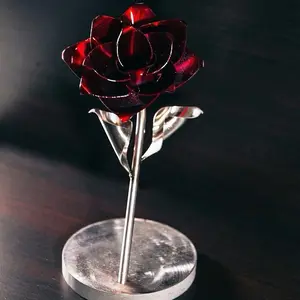 Powdered Rose