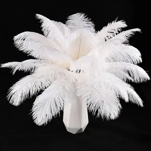 White Ostrich Feathers 24pcs Natural Bulk 8-10Inch 20cm-25cm for Crafts Wedding Party Centerpieces Christmas Tree Decoration Feathers