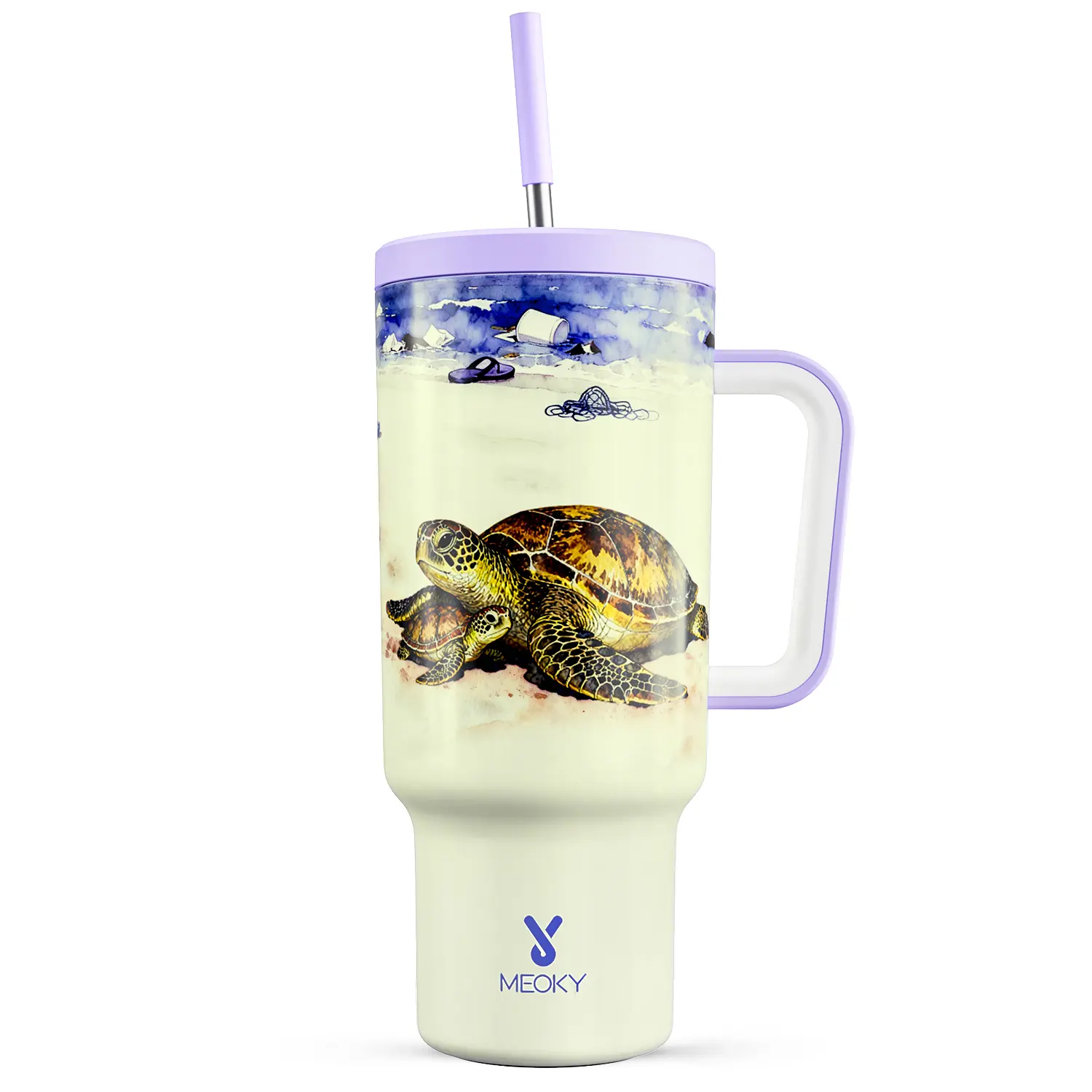 Sea Turtle