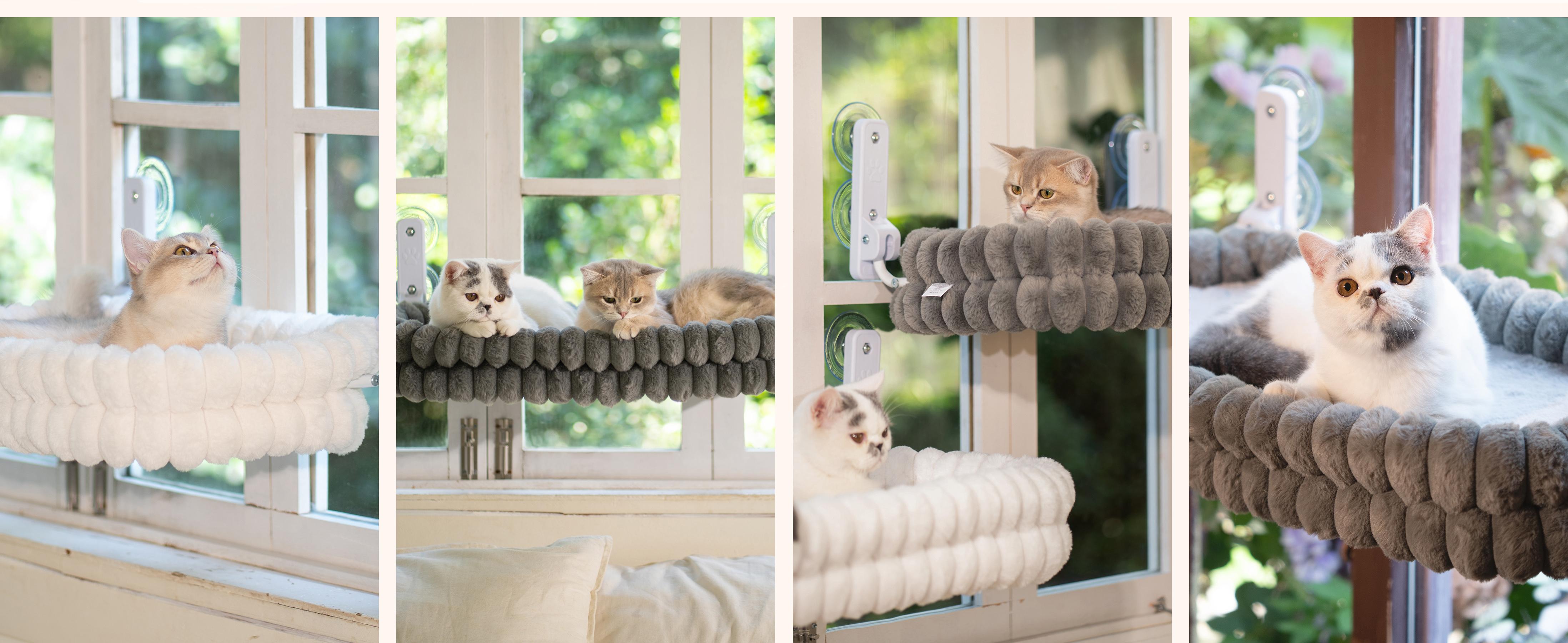 Foldable Window Perch for Medium/Large Cats - Cordless (Keeps Setup Simple), Fold-Up Design (Easy Storage), Zip Closure, Machine-Washable Bed Cover, Robust Metal Frame, Window View Hammock Foldable Window Perch for Medium/Large Cats - Cordless (Keeps Setup Simple), Fold-Up Design (Easy Storage), Zip Closure, Machine-Washable Bed Cover, Robust Metal Frame, Window View Hammock