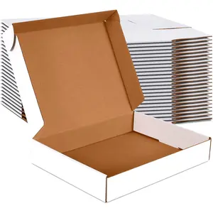 12x9x2 inch Small Shipping Boxes Set of 25, White Corrugated Cardboard Box Literature Mailer for Mailing Packing Moving and Storage