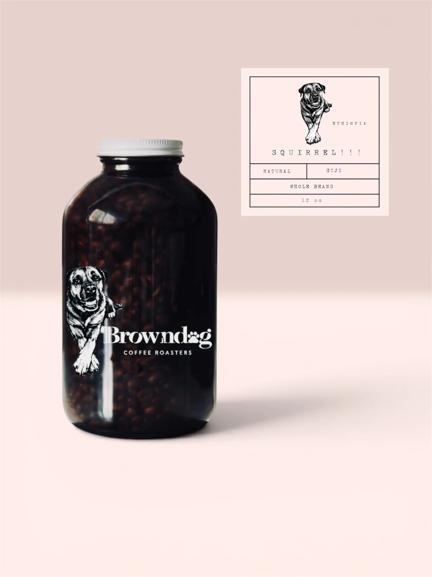 SQUIRREL Ethiopia Single Origin Washed Coffee, Light Roast with Blueberry, Plum, Jasmine Notes, Crafted by Specialty Coffee Roasters