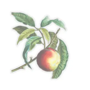 Vintage Peach Stickers – Perfect for Journals, Water Bottles, Laptop Decor, Gift Wrapping, Scrapbooking