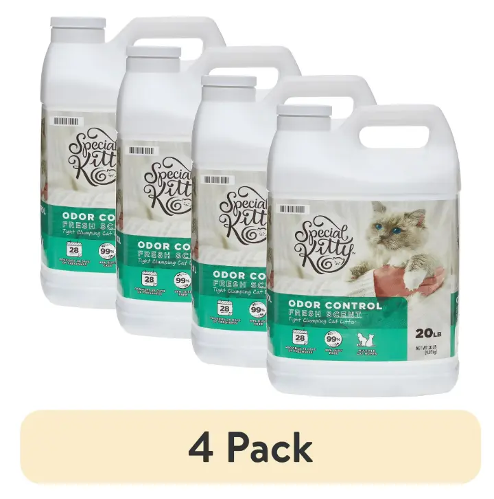 (4 pack) Special Kitty Clumping Clay Cat Litter, Fresh Scent, 20 lbs Jug, 1 Count
