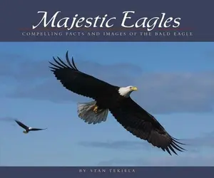 USED-Majestic Eagles: Compelling Facts and Images of the Bald Eagle by Tekiela, Stan (Paperback)