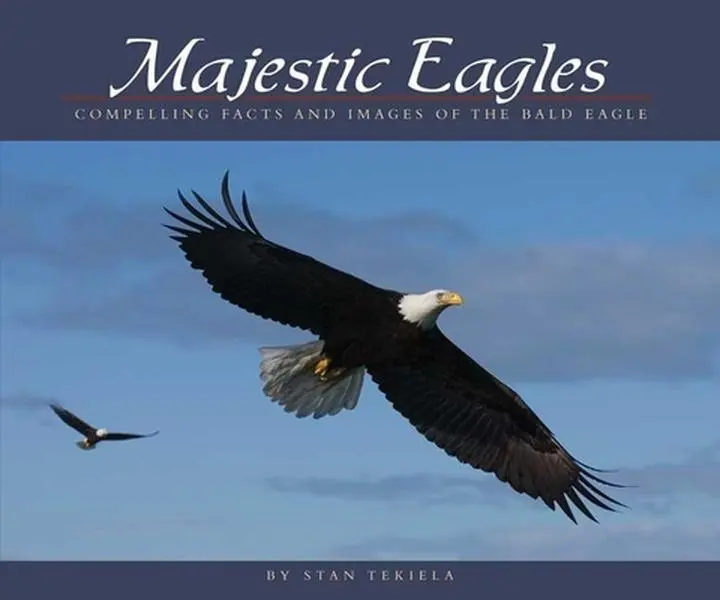 USED-Majestic Eagles: Compelling Facts and Images of the Bald Eagle by Tekiela, Stan (Paperback)