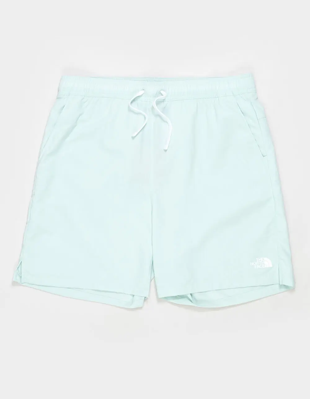THE NORTH FACE Action 2.0 Mens Shorts