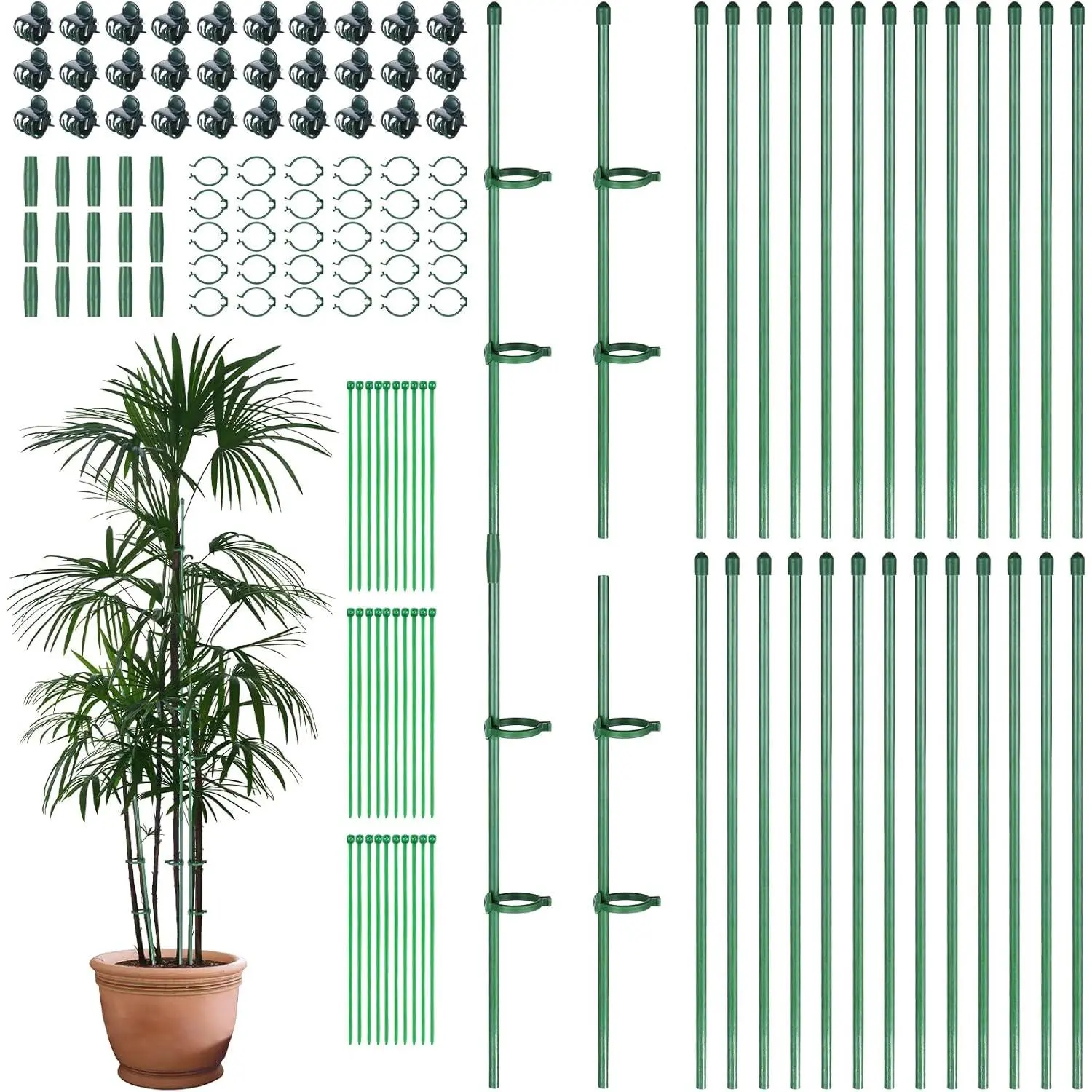30 count Adjustable  Sticks, 12 in  Support Sticks  Support Stakes with Orchid Clips Garden Ties  Support Cage for Potted  Indoor Orchid Flower Tomato, Green
