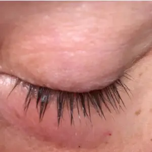 Terez & Honor Advanced Eyelash Serum for Thicker, Longer, Fuller Eyelashes and Eyebrows - Grow Luscious Lashes with Brow Enhancer