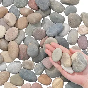 River Rocks-20 lbs of Pebbles and River Stones,1-2 Inch  Rocks for Landscaping,Garden Paving,Crafting,Walkways,and Outdoor Decorative Stone,Mexican Beach River Rocks