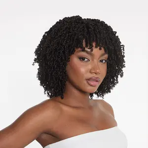 [New Arrival] Frodio Veralux™ Fiber Micro Twist Wig with Bangs Short Braided | Ready To Go, Shaggy Wig With Bang #summervibes