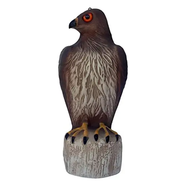 Hawk Decoy Scares Away Birds