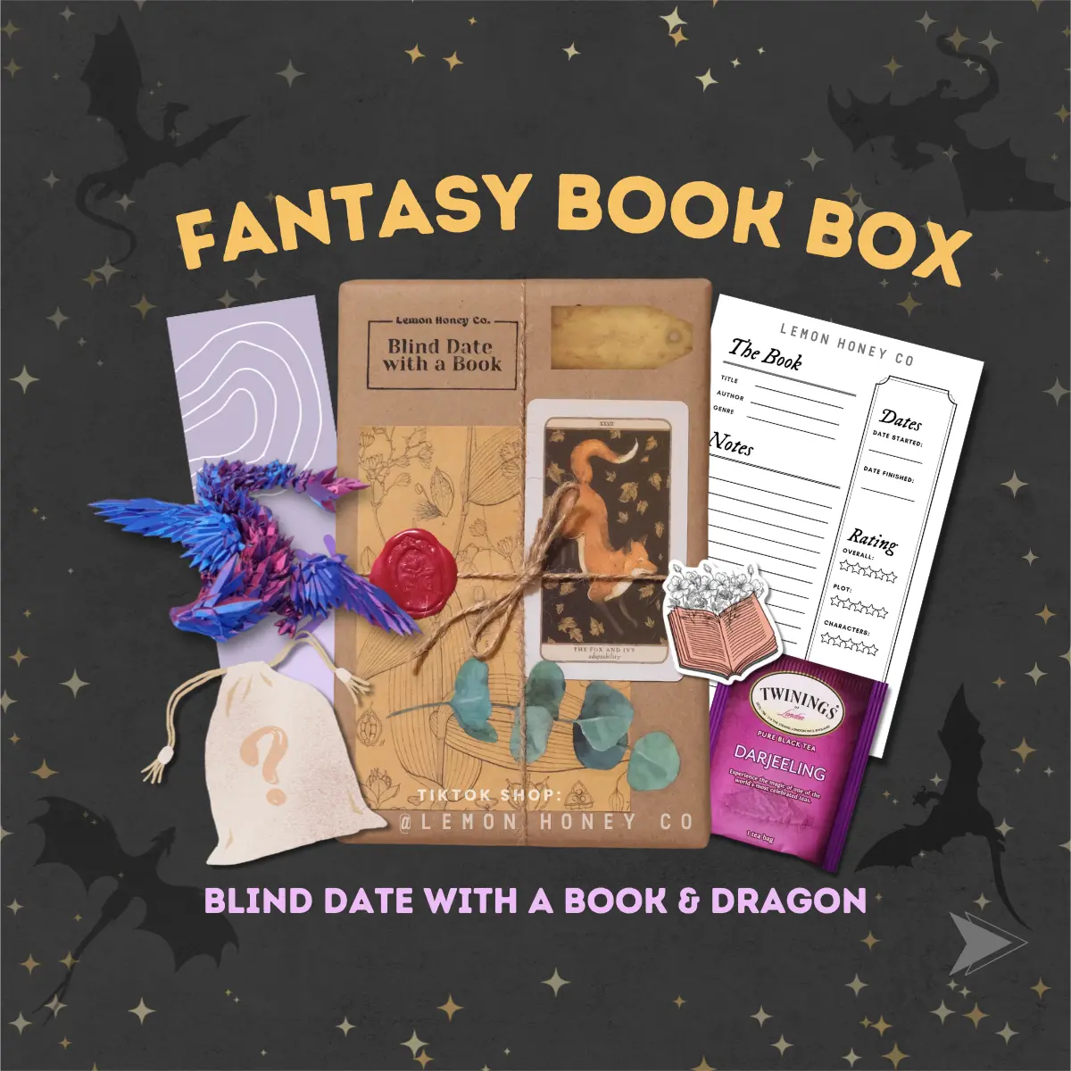 Date with a Book and Dragon | Bookish Gifts Booktok Fantasy Romantasy Sci Fi Gothic Fantasy Literature Novel