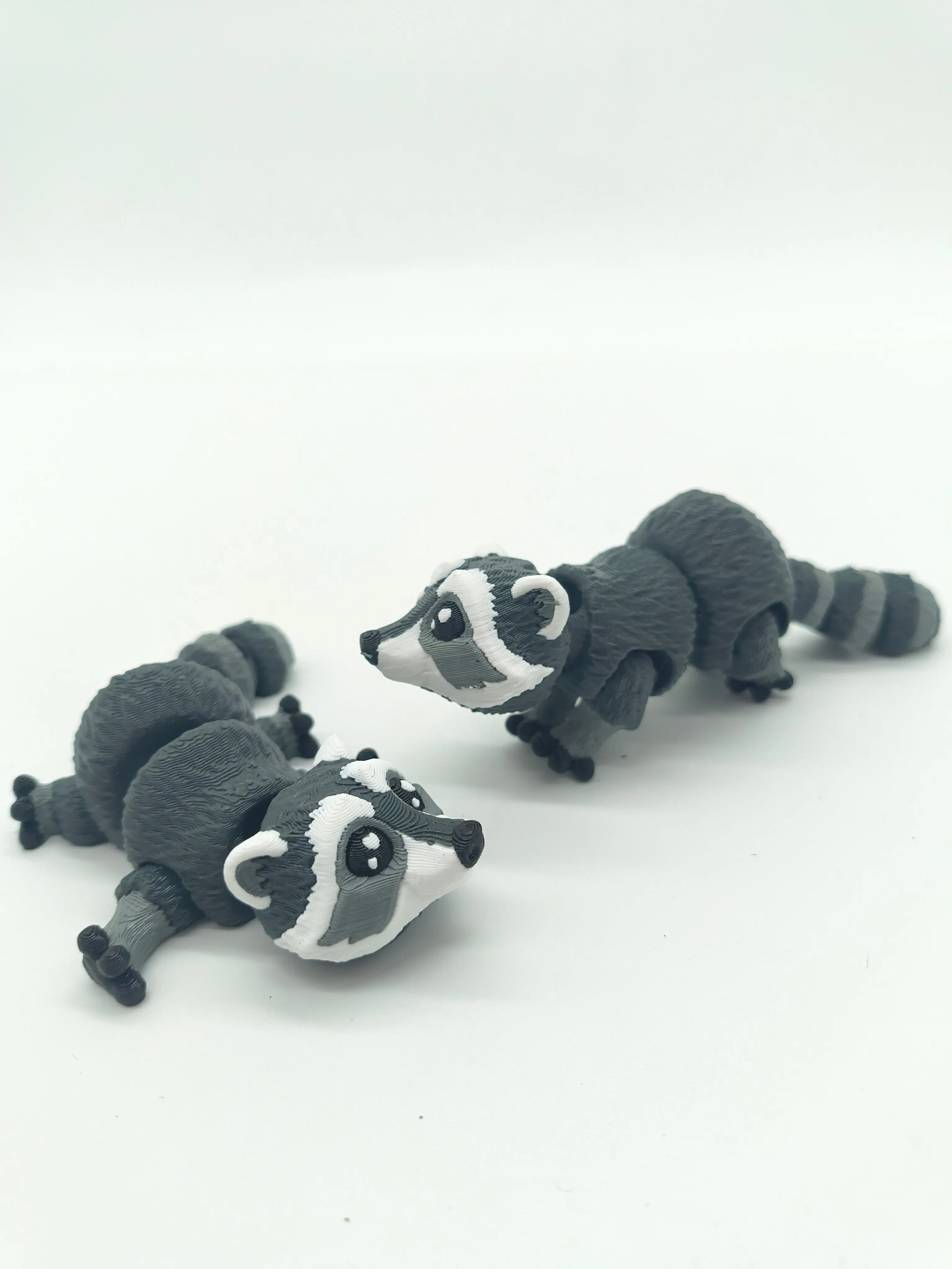 Raccoon