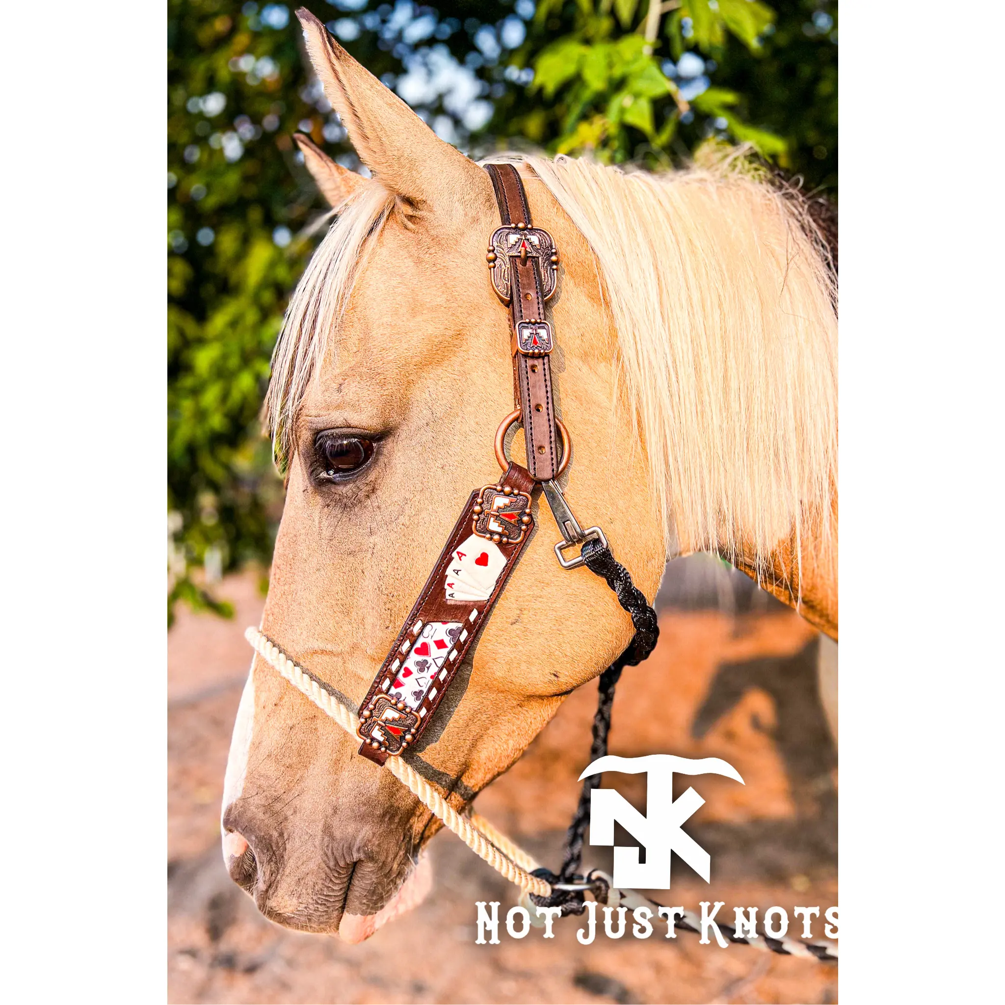 Custom Hybrid Lariat Halter