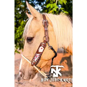 Custom Hybrid Lariat Halter