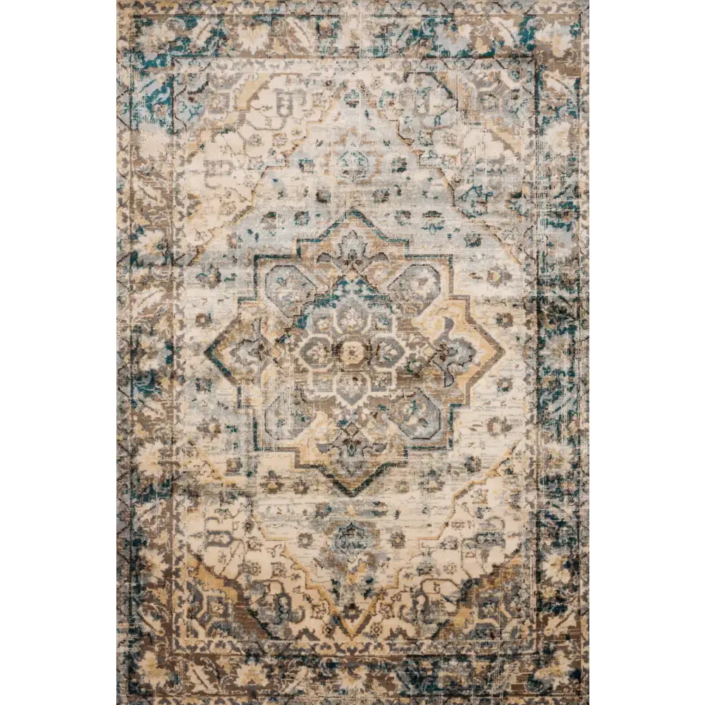Transitional isadora rug